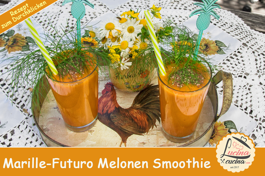 11 Marille Futuro Melone Smoothie